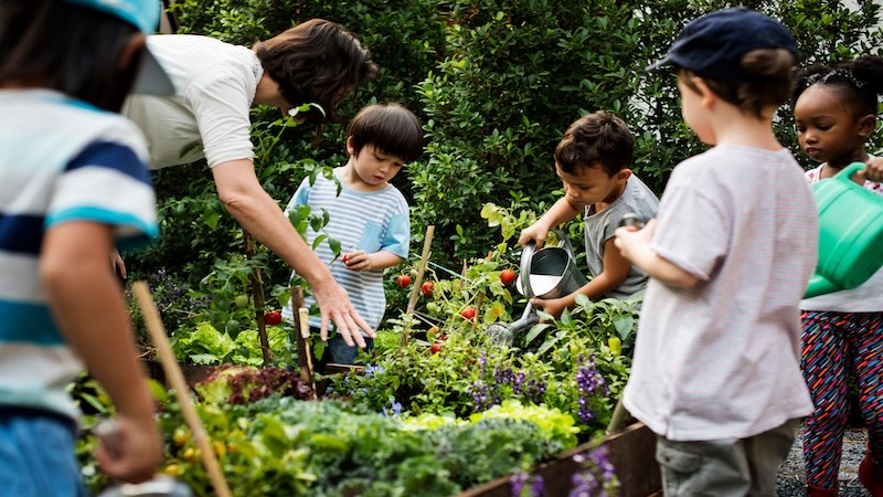 Children watering tomatoes.