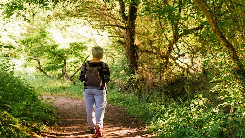 Picture of someone hiking through the woods